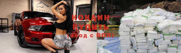 прущие крисы Медвежьегорск