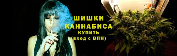 прущие крисы Медвежьегорск