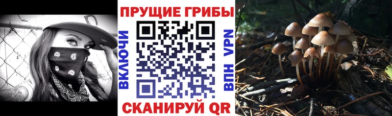 Галлюциногенные грибы Cubensis  дарнет шоп  Гагарин 