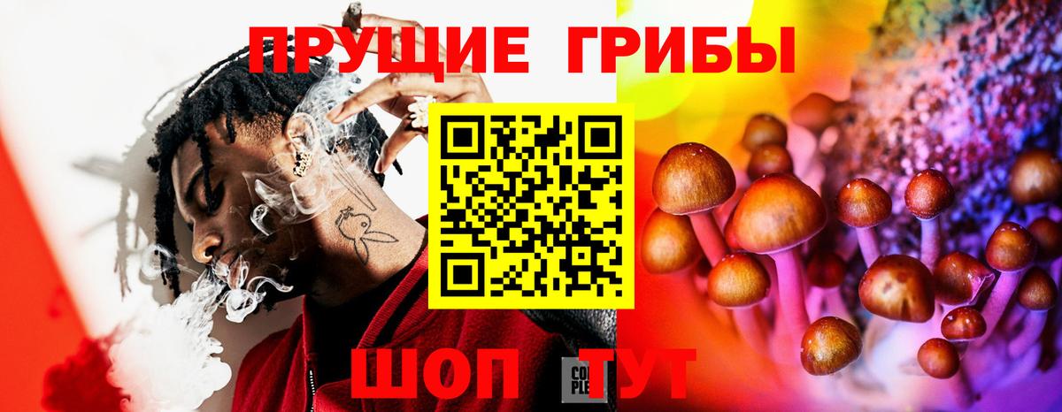 Гагарин  Галлюциногенные грибы ЛСД  Вход с VPN 