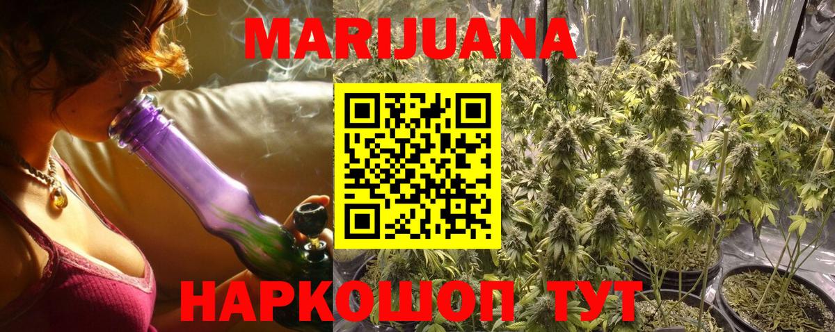 Бошки Шишки план Гагарин